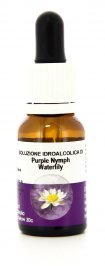 Purple Nymph Waterlily - Essenze Australiane Living
