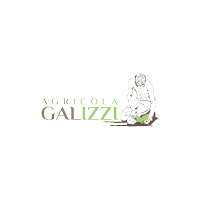 Azienda Agricola Adriano Galizzi