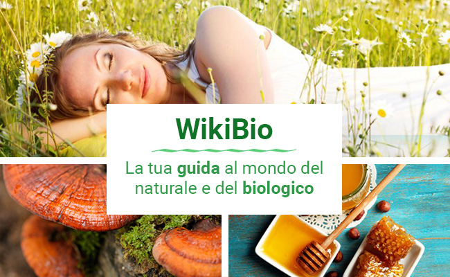 WikiBio: la tua guida al mondo del naturale e del biologico
