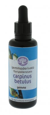 Gemmoderivato Floripotenziato - Carpinus Betulus