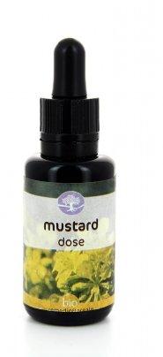 Mustard Dose