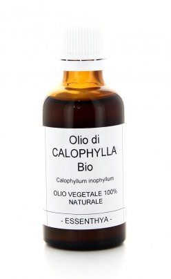 Calophylla Bio - Olio Base Vegetale Puro