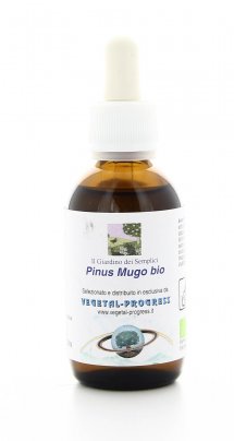 Pinus Mugo - Pino Mugo Bio - Estratto Idrogliceroalcolico