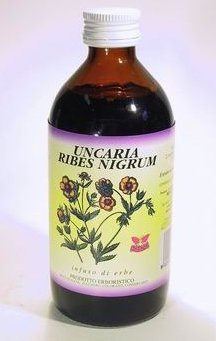 Uncaria Ribes Nigrum
