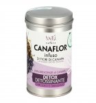 Infuso Detox Detossinante - Canaflor