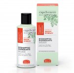 Bio Shampoo Rigenerante - Capelvenere