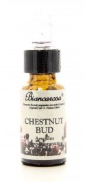 Chestnut Bud - Gemma di Castagno