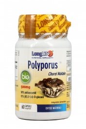 Polyporus Bio