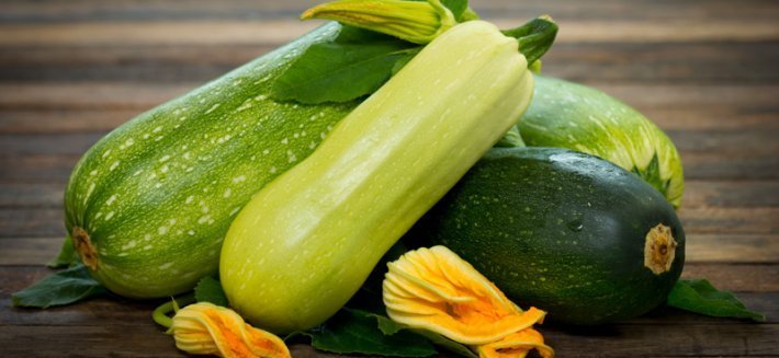 La Zucchina: Le virtù e i benefici di un'ortaggio squisito